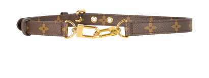 Louis Vuitton Bag Strap, front view